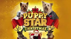 puppy star christmas